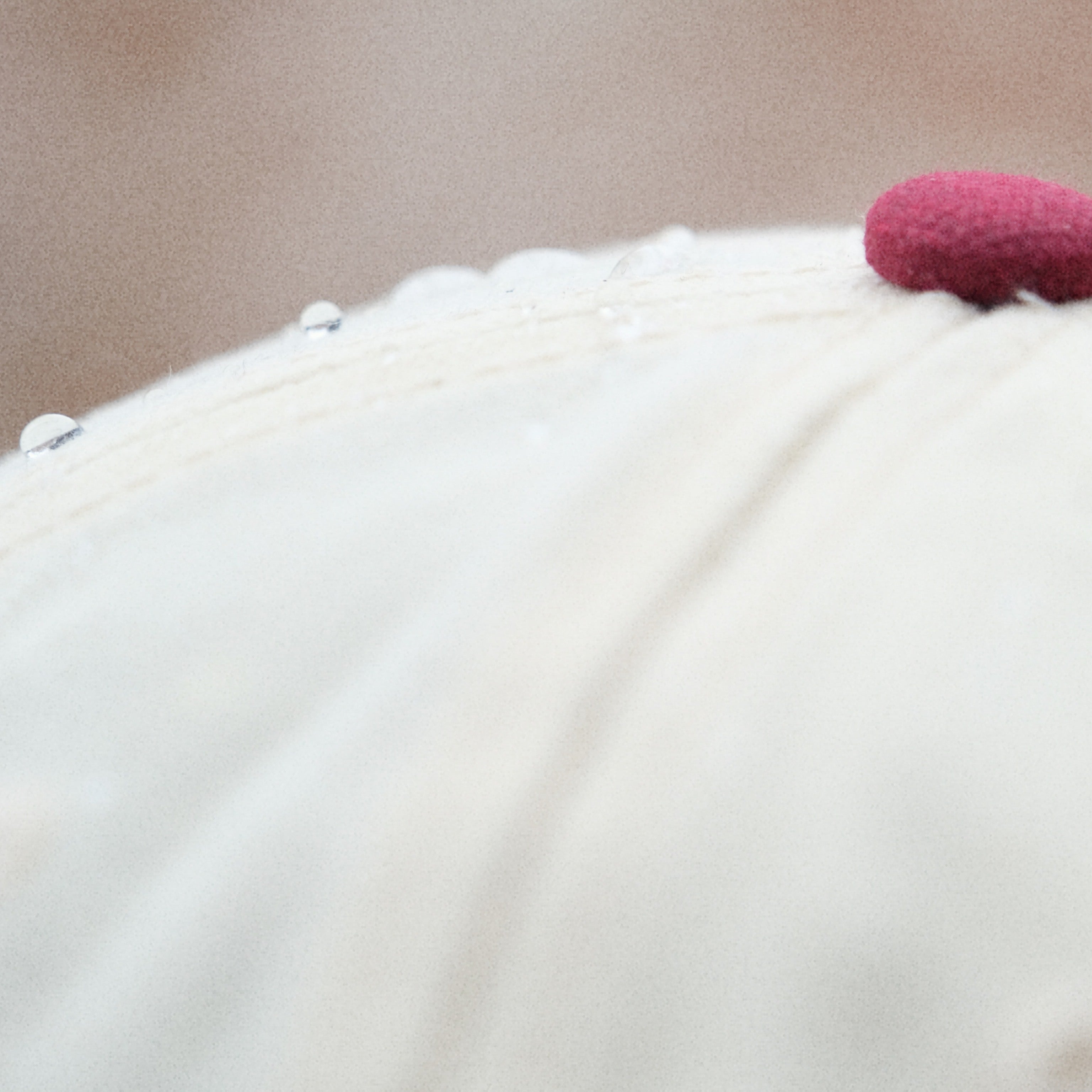 The Crest Cap – Coastland Supply