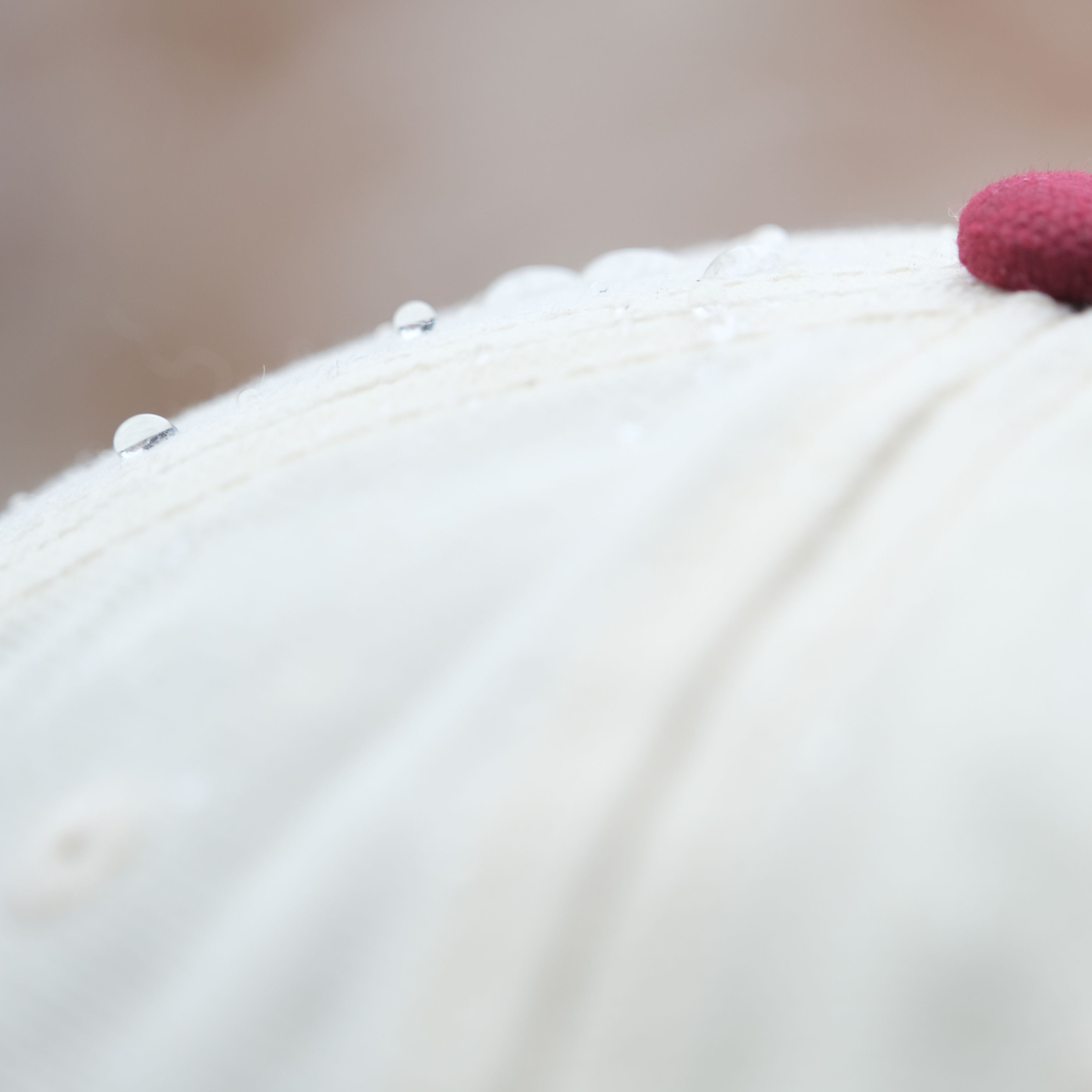 Waxed Canvas Premium Baseball cap with 'New England' script and logo - water resistant canvas